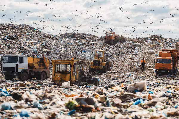Human overpopulation and the waste crisis
