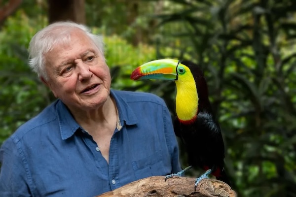 David Attenborough on overpopulation