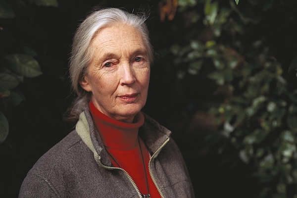 Jane Goodall on overpopulation