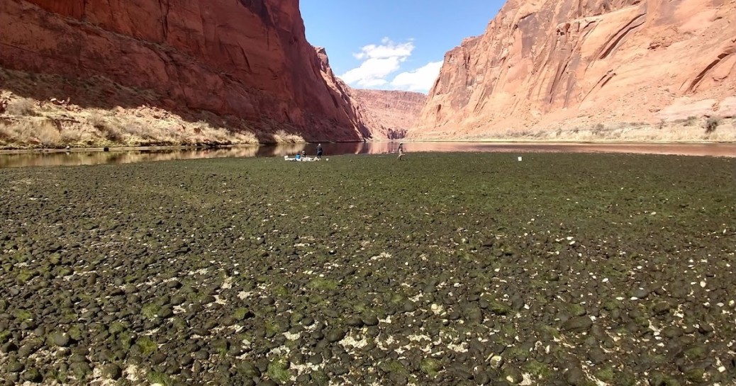 Population growth threatening America's rivers